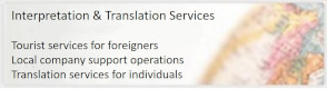 Interpreter/Translation Support